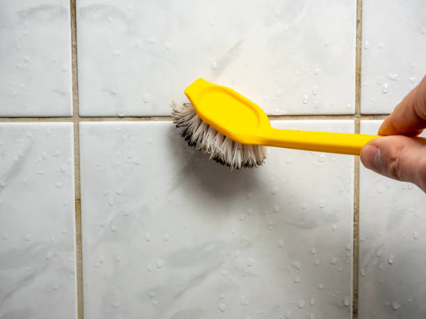 Best Water Damage Restoration  in Elmwood, IL