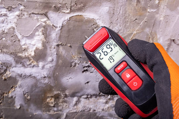 Best Mold Remediation  in Elmwood, IL