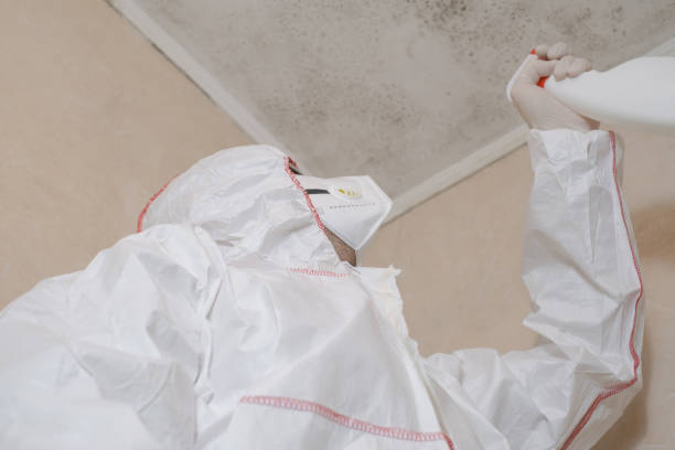 Best Mold Testing  in Elmwood, IL