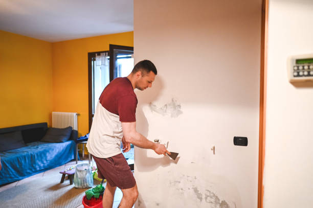 Best Mold Testing and Removal  in Elmwood, IL
